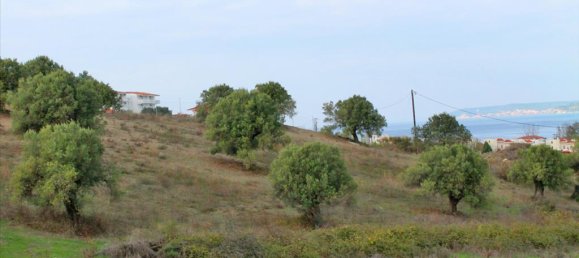  فندق في Chalkidiki, Greece 6300متر مربع رقم 8071 2