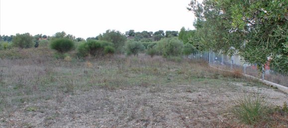  فندق في Chalkidiki, Greece 6300متر مربع رقم 8071 4