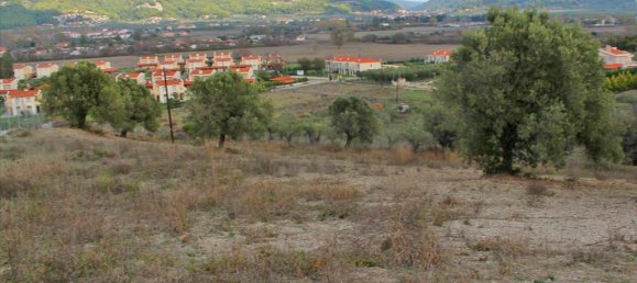 فندق في Chalkidiki, Greece 6300متر مربع رقم 8071 5