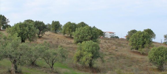  فندق في Chalkidiki, Greece 6300متر مربع رقم 8071 3