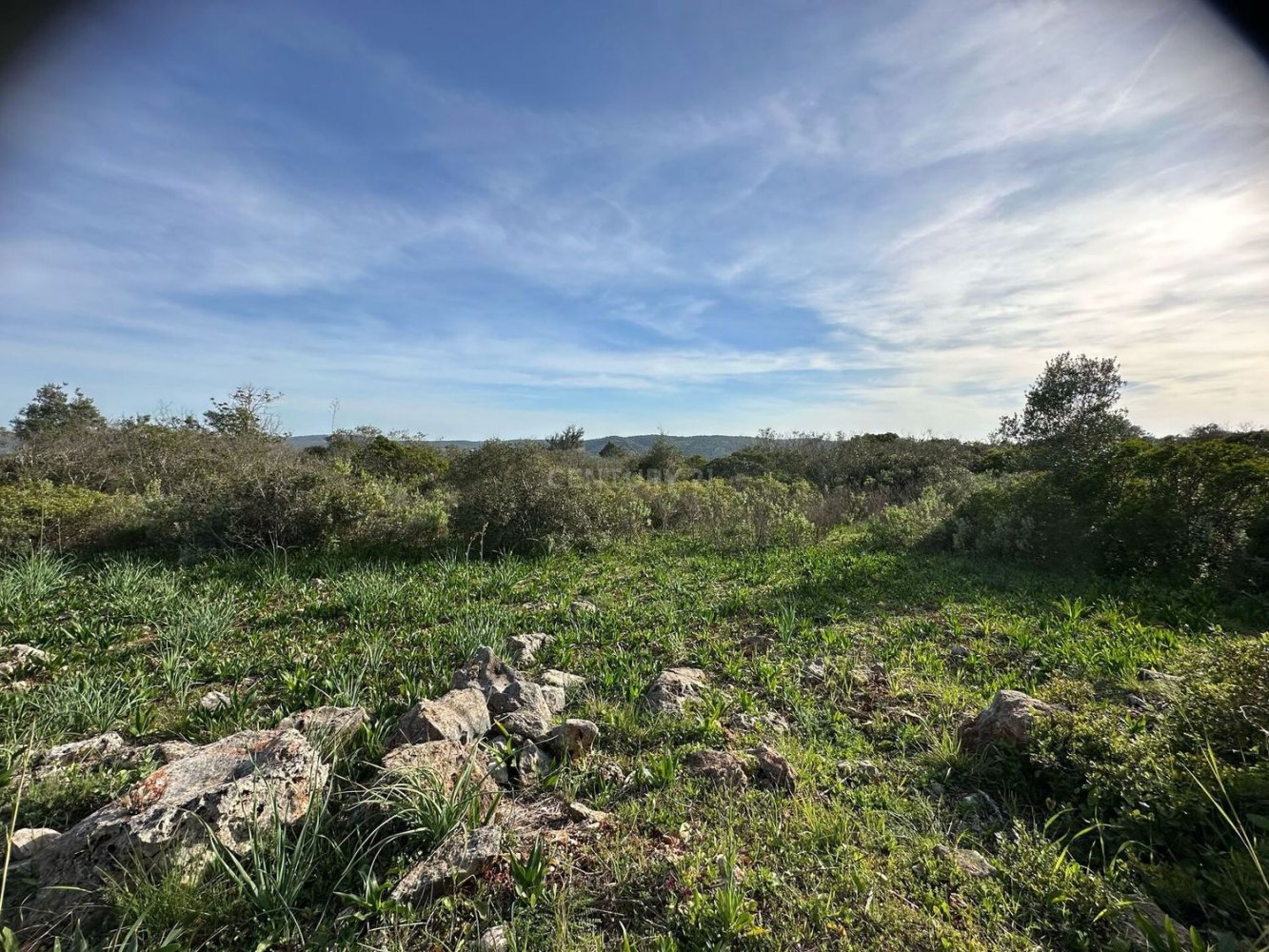  قطعة أرض في Loule, Portugal 95480متر مربع رقم 77393