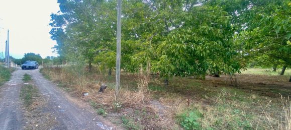  Land in Nola, Italy No. 353107 3