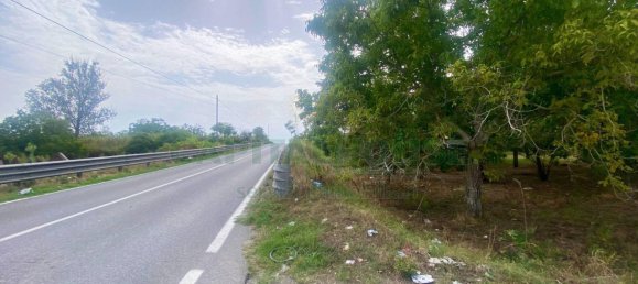  Land in Nola, Italy No. 353107 6