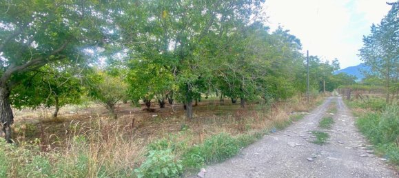  Land in Nola, Italy No. 353107 2