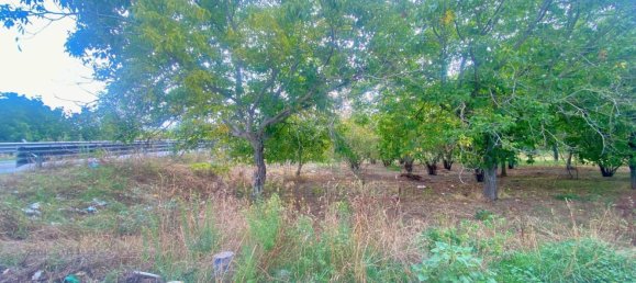  Land in Nola, Italy No. 353107 8