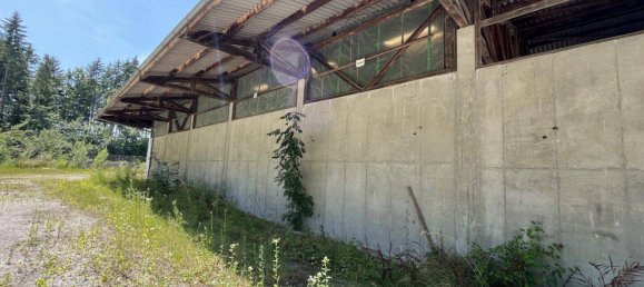 9286m² Land in Hohenzell, Austria No. 215236 18