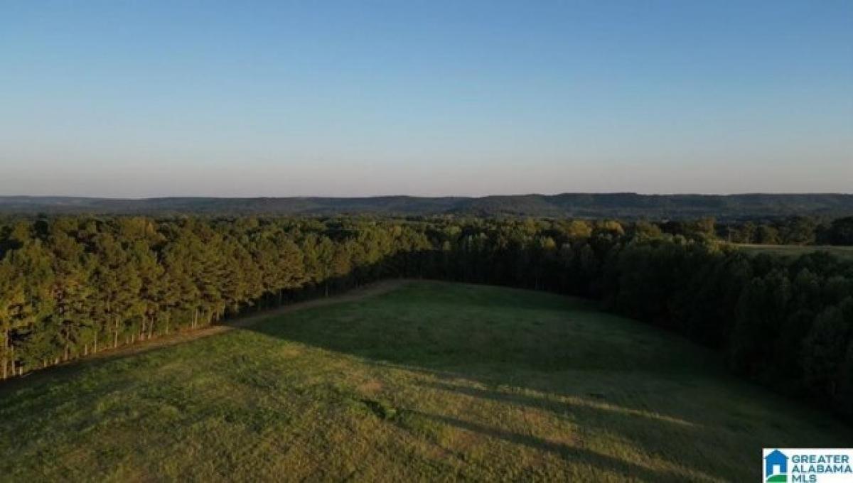  Land in Blountsville, USA No. 491743