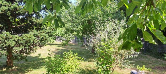 5 rooms House in Spielberg, Austria No. 199804 16