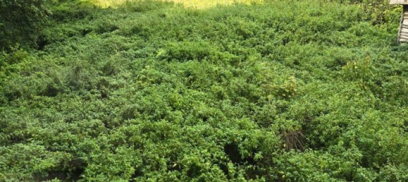 Casa de 5 divisões em Nordhausen, Germany N.º 282888 4