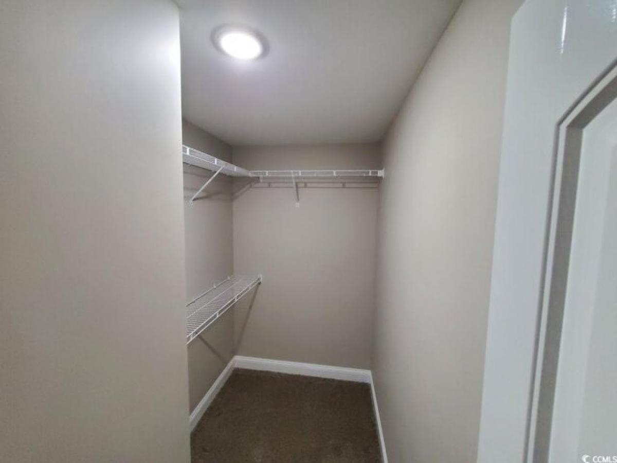 4 bedrooms House in Conway, USA No. 376769