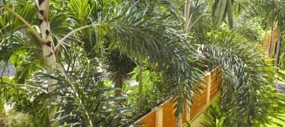 1 chambre Condo à Pattaya, Thailand No. 19870 11