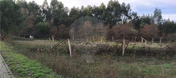 Grundstück in Maia, Portugal 31221m², Nr. 38441 2