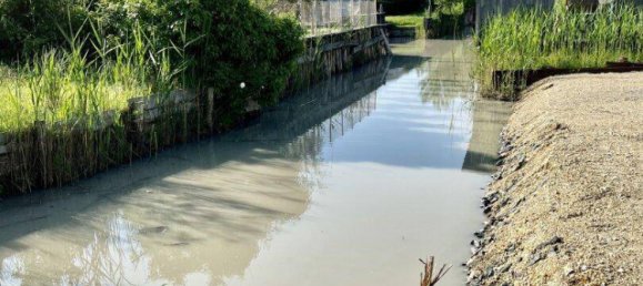  Land in Neusiedl am See, Austria No. 102107 5