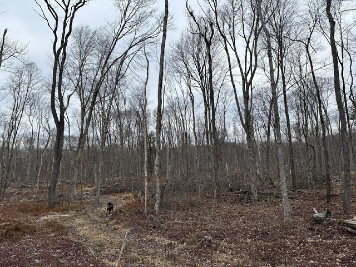  Land in Cranberry, USA No. 527374