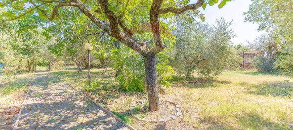 Вилла с 5 спальнями в Палестрина, Италия № 332875 10