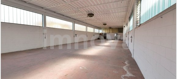 2 rooms Commercial property in Meda, Italy No. 132442 6