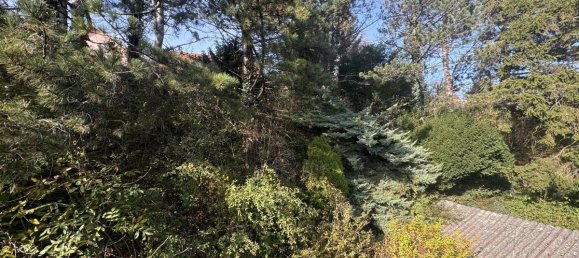 Terrain à Judenau-Baumgarten, Austria 1101m² No. 167624 10