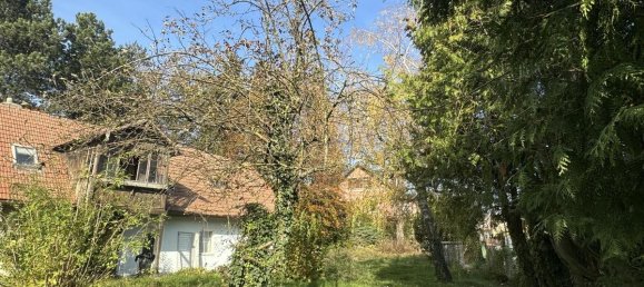 Terrain à Judenau-Baumgarten, Austria 1101m² No. 167624 6