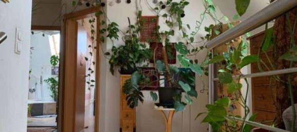 5 rooms Apartment in Wilhering, Austria No. 230151 14