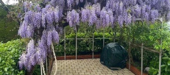 3 Schlafzimmer Haus in Apremont, France, Nr. 98381 13