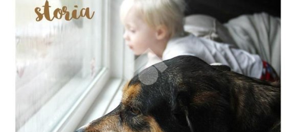 2 bedrooms House in Cerignola, Italy No. 326421 12