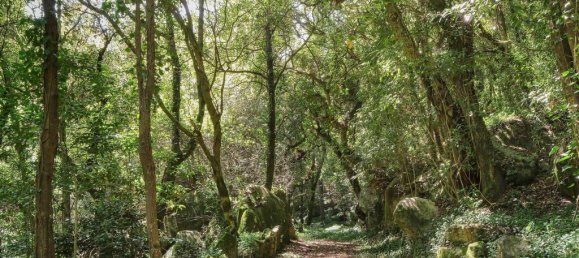4 Schlafzimmer Schlösser in Sintra, Portugal, Nr. 305258 33