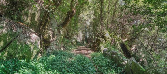 4 Schlafzimmer Schlösser in Sintra, Portugal, Nr. 305258 34