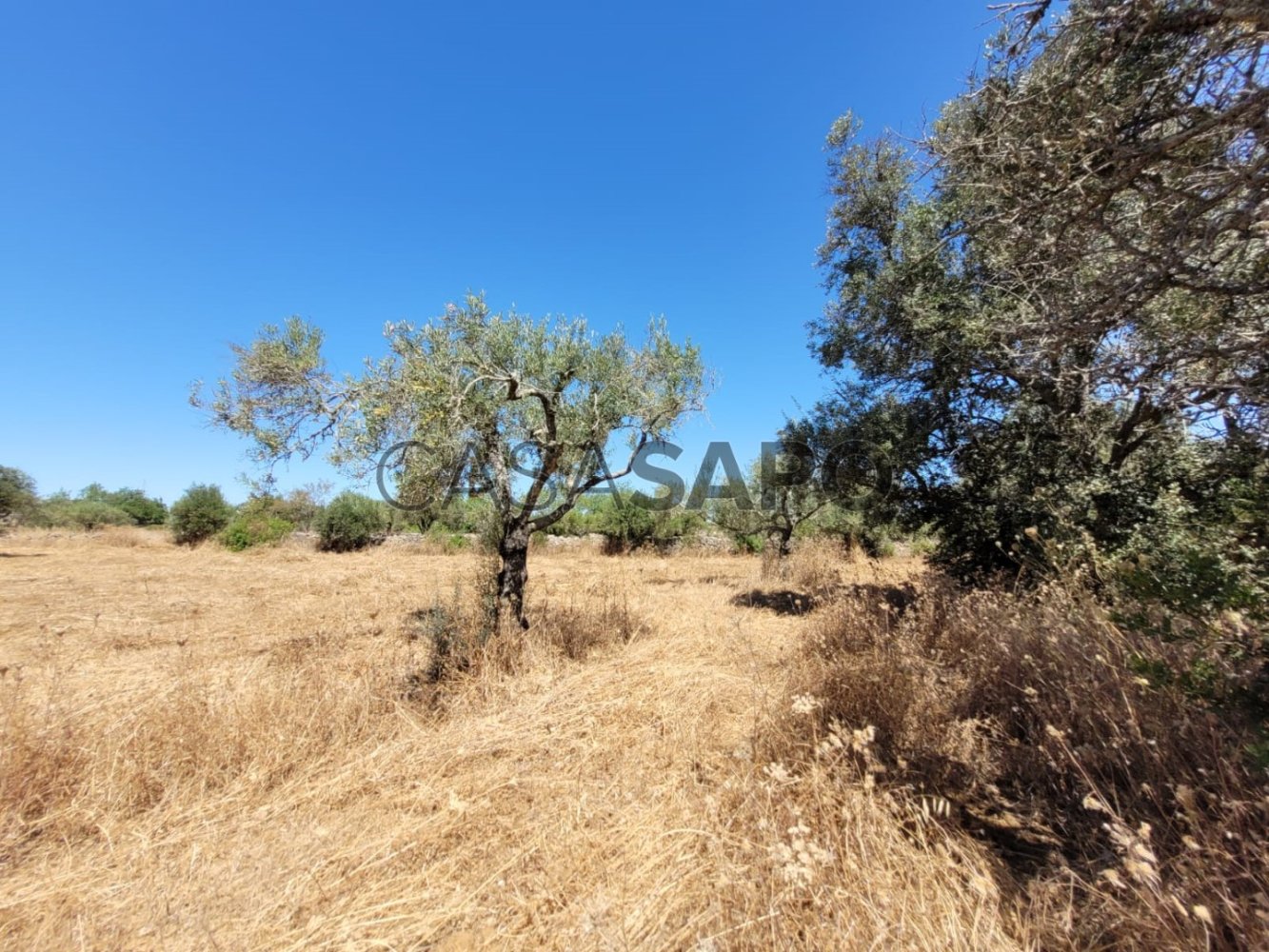 Terrain à Faro, Portugal No. 211818