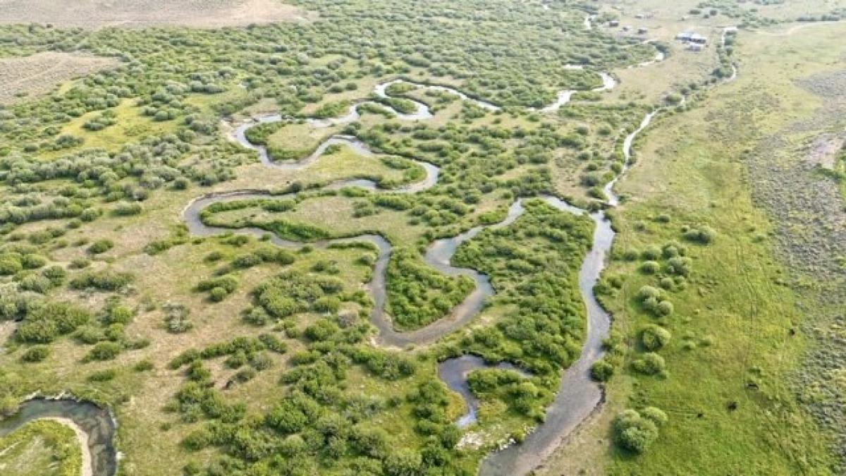 Земельный участок в Биг-Пайни, США № 482385