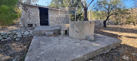 1-Zimmer Grundstück in Avola, Italy, Nr. 17513 6