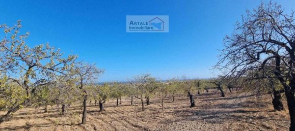 1-Zimmer Grundstück in Avola, Italy, Nr. 17513 3