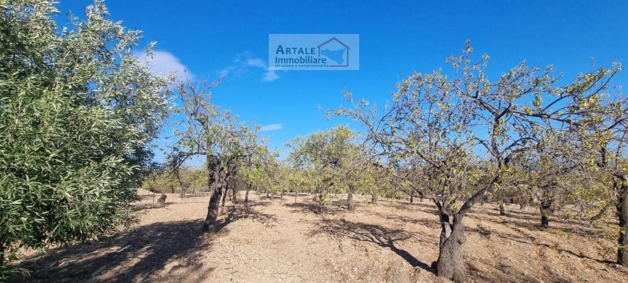 1-Zimmer Grundstück in Avola, Italy, Nr. 17513