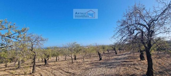 1-Zimmer Grundstück in Avola, Italy, Nr. 17513 2