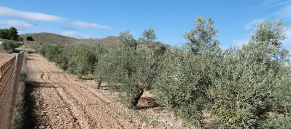 2 bedrooms House in Yecla, Spain No. 107492 17