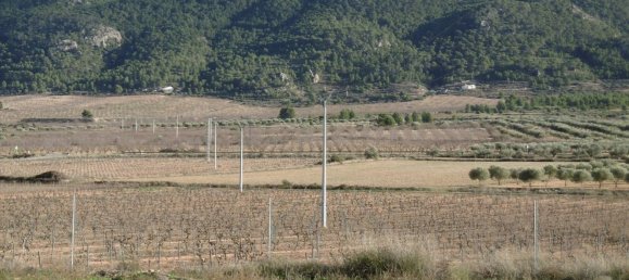 2 bedrooms House in Yecla, Spain No. 107492 9