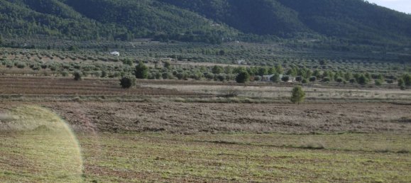 2 bedrooms House in Yecla, Spain No. 107492 8