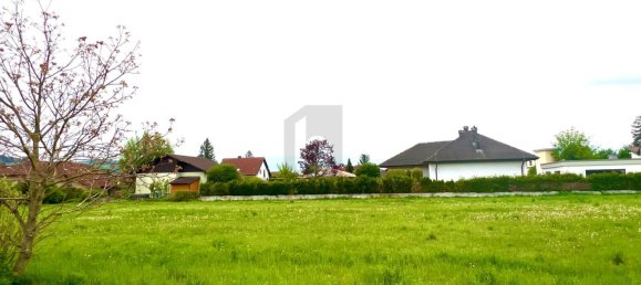 Terreno en Zeiselmauer-Wolfpassing, Austria No. 232923 2