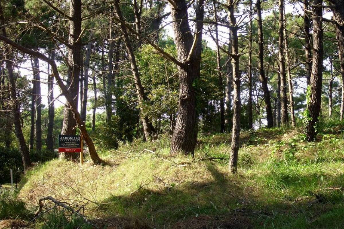  Land in Mar del Plata, Argentina No. 120298