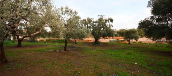 3 bedrooms House in Fasano, Italy No. 41888 8