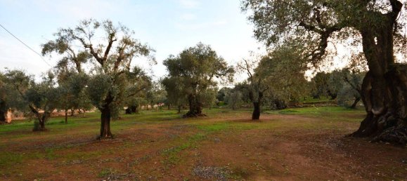 3 bedrooms House in Fasano, Italy No. 41888 9