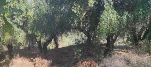 Terra em Corfu, Greece 3310 m² N.º 92730 11