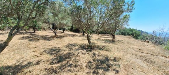 Terra em Corfu, Greece 3310 m² N.º 92730 6