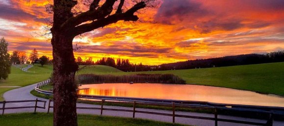 Land in Moggers, Austria No. 165695 3