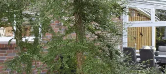 Edifício de 5 divisões em Cuxhaven, Germany N.º 310380 30