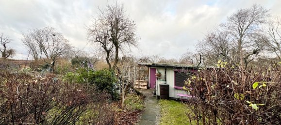 2-Zimmer Wohnung in Neukölln, Germany, Nr. 92963 4