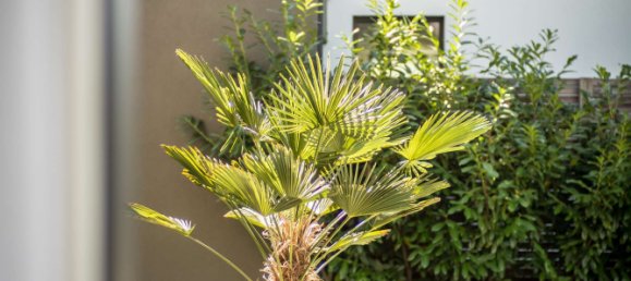 Casa de 6 divisões em Wetteraukreis, Germany N.º 54401 60