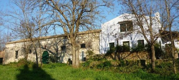 1 bedroom Villa in Corfu, Greece No. 1507 3