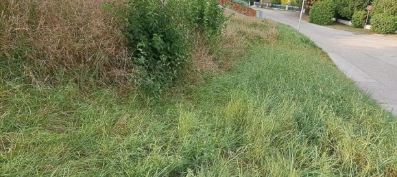  Land in St. Polten, Austria No. 29124 3