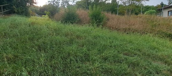  Land in St. Polten, Austria No. 29124 4