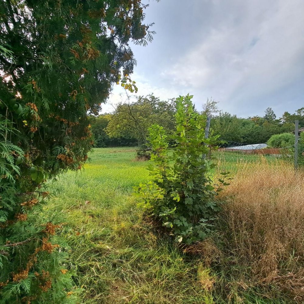  Land in St. Polten, Austria No. 29124